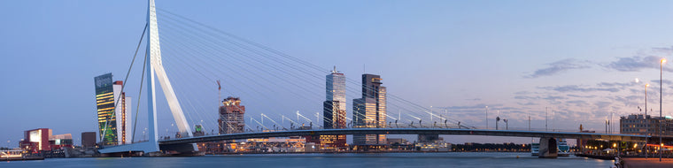 ROTTERDAM PANORAMIC