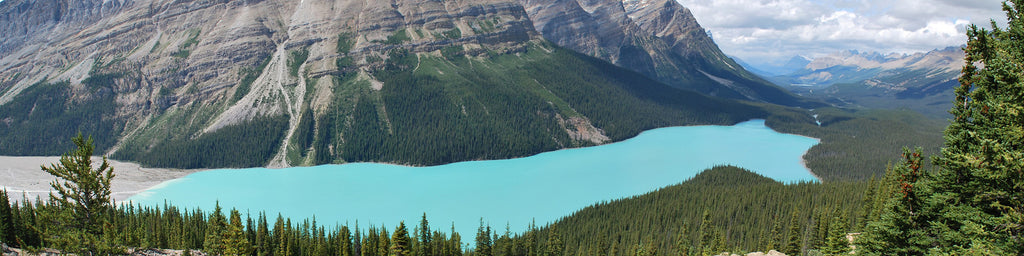 PEYTO LAKE, BANFF NATIONAL PARK