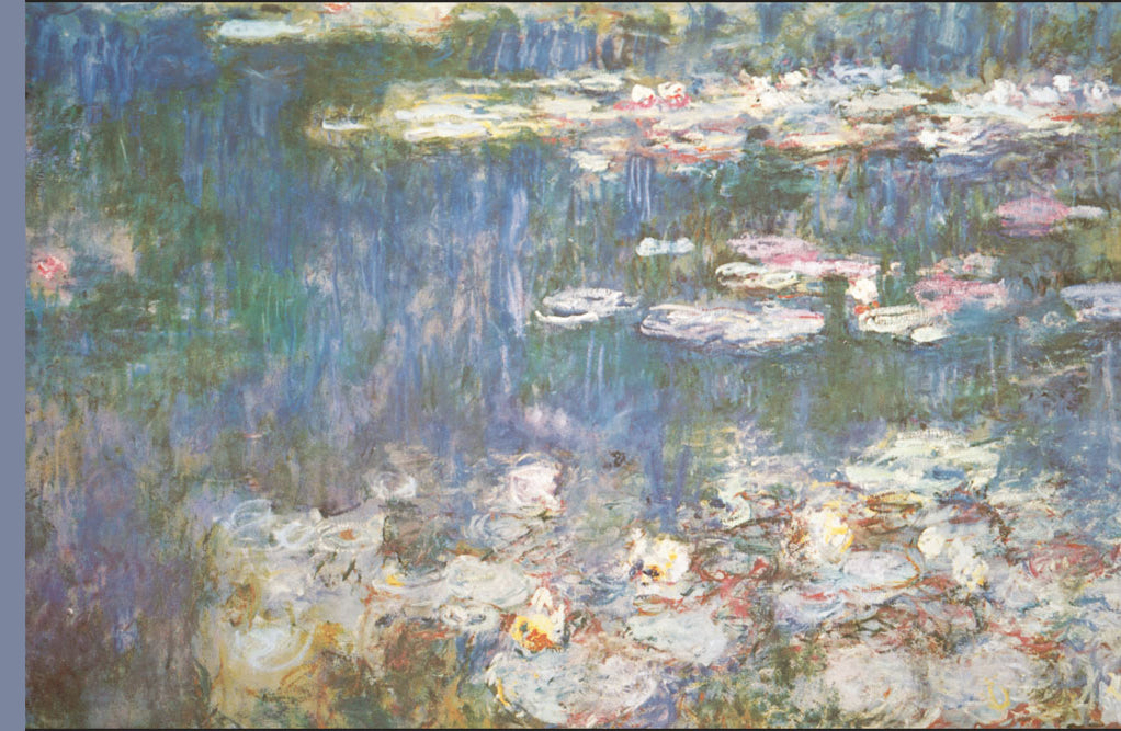 WATERLILIES