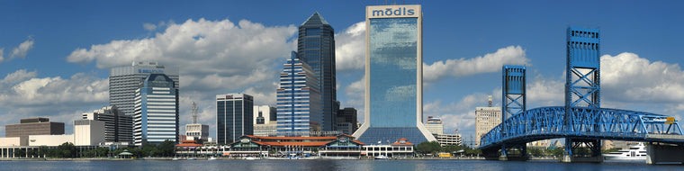 JACKSONVILLE CITY SKYLINE