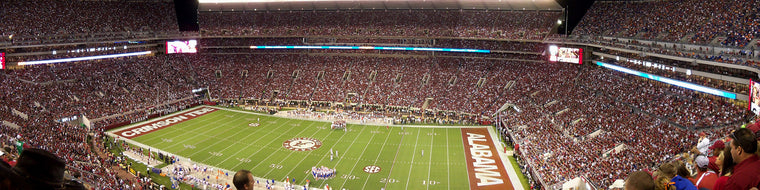 UNIVERSITY OF ALABAMA, BRYANT-DENNY STADIUM MURAL