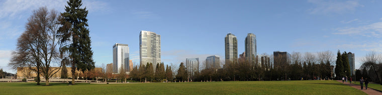 BELLEVUE, WA SKYLINE