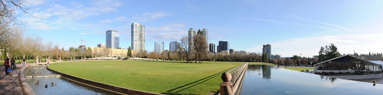 BELLEVUE PANORAMIC FROM DOWNTOWN PARK