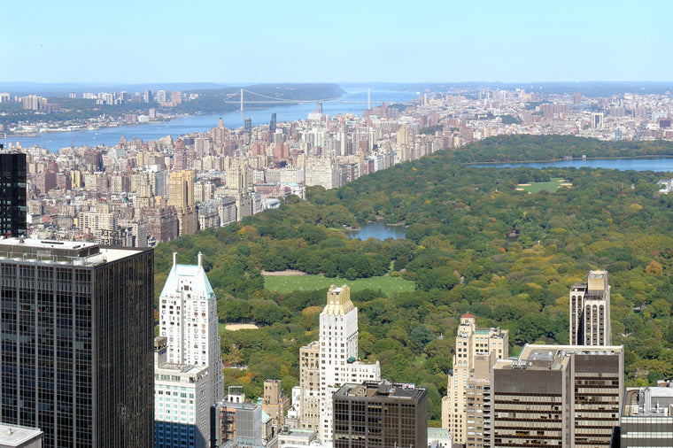 Manhattan, NYC from the Rockefeller Center