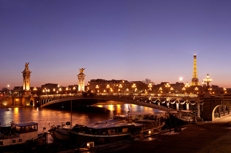 The Alexandre III Bridge, Paris