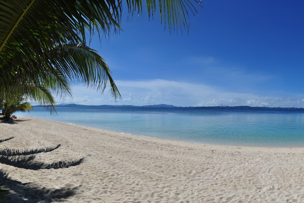 Coco Loco Beach Panoramic