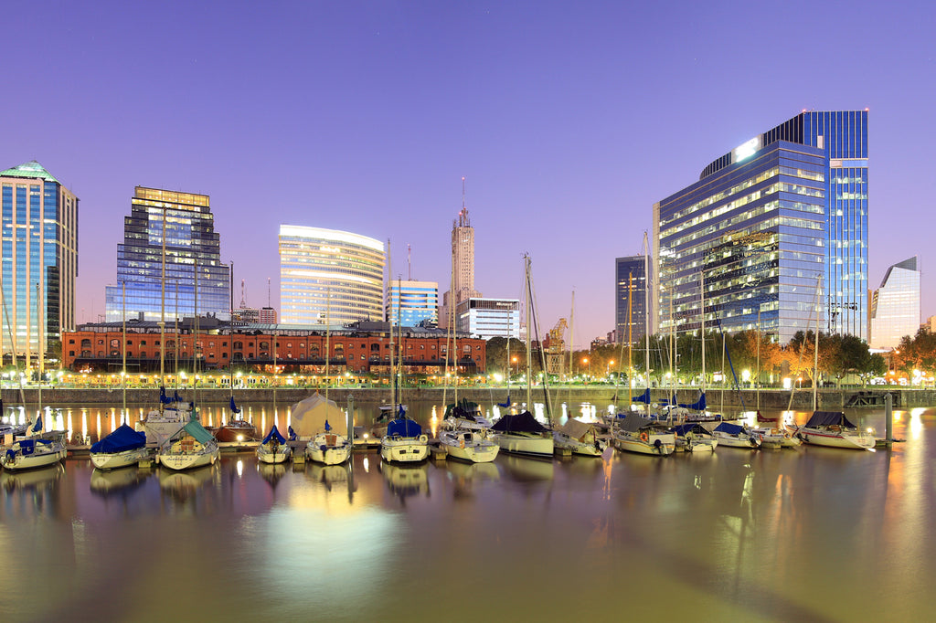 Buenos Aires Night Skyline