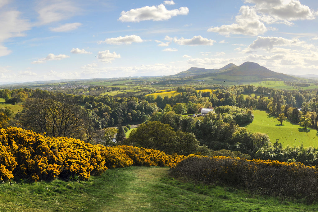 Scenic Countryside