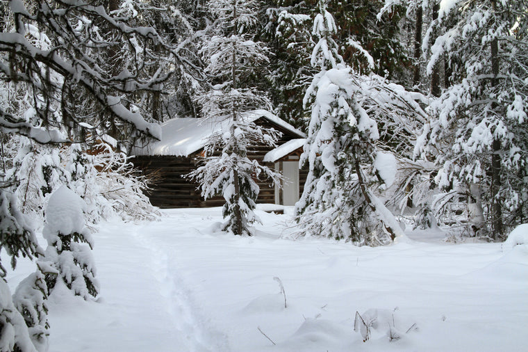 Hidden Winter Cabin