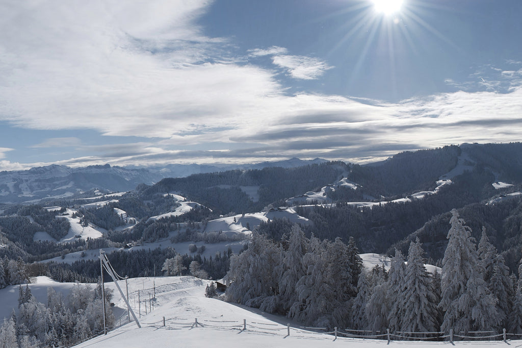 Winter Panoramic