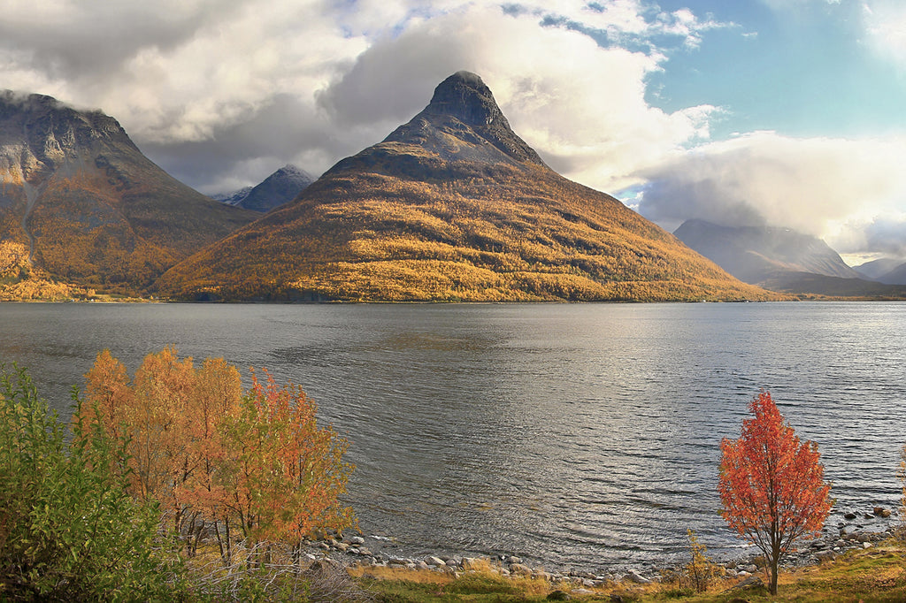 Fall Lake Panoramic