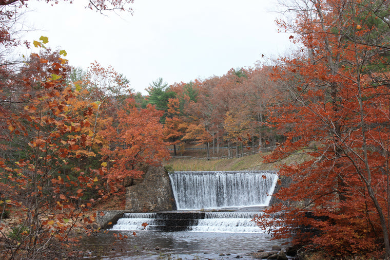 Fall Waterfalls