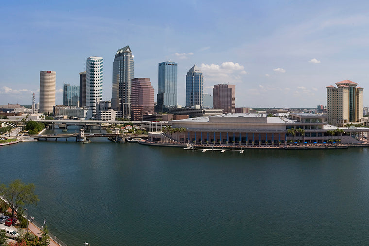Tampa Skyline at Day