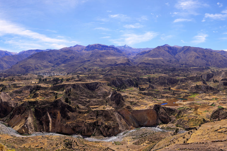 Ancient Terraces of Colca Valley, Peru