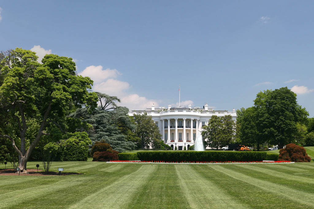 White House Lawn