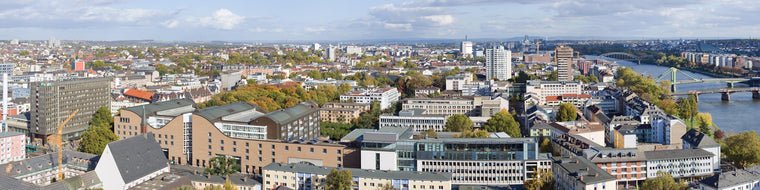 FRANKFURT FROM THE CATHEDRAL