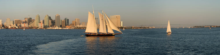 SAN DIEGO SKYLINE