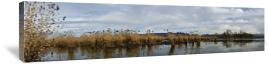 NATURE RESERVE POND AND GRASS