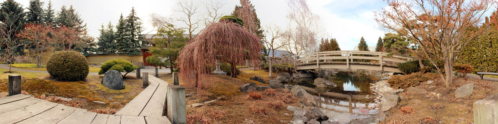 JAPANESE GARDEN IN WINTER