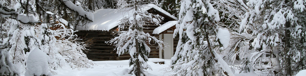 HIDDEN WINTER CABIN