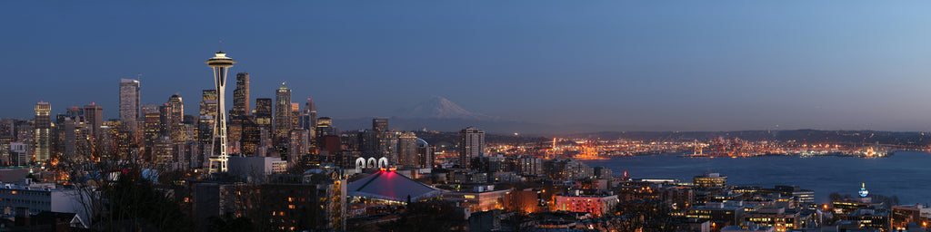 SEATTLE SKYLINE FROM QUEEN ANNE HILL