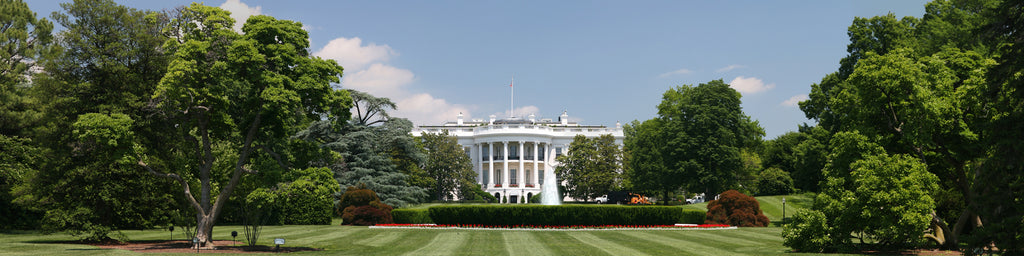 WHITE HOUSE LAWN