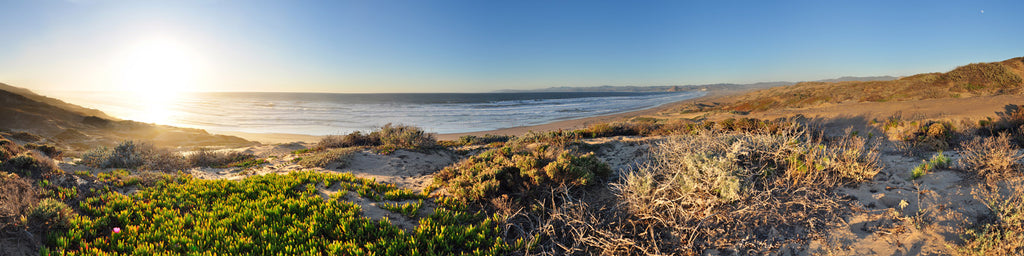 SUNRISE OVER SANDY DUNES