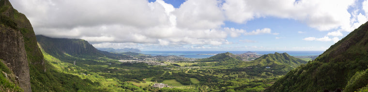 HAWAIIAN VIEW FROM THE MOUNTAINS