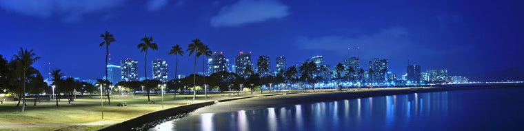 HAWAIIAN SKYLINE VIEW