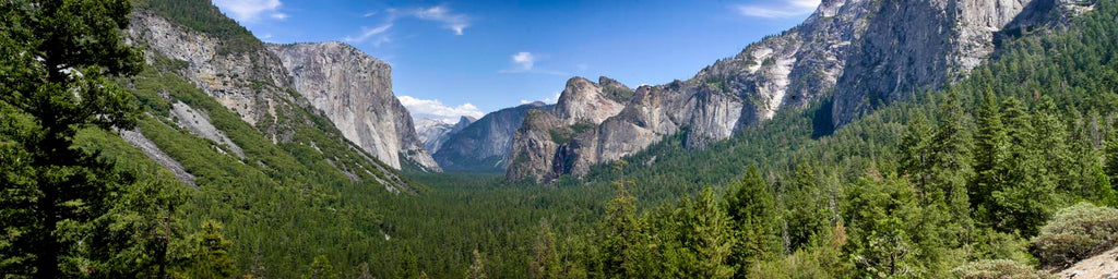 LOOKING THROUGH THE VALLEY