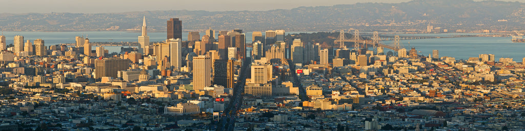 SAN FRANCISCO FROM TWIN PEAKS