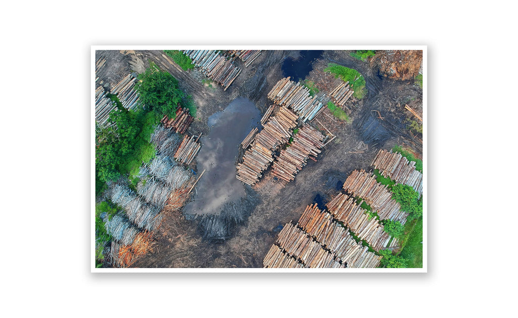 Muddy Lumber Yard