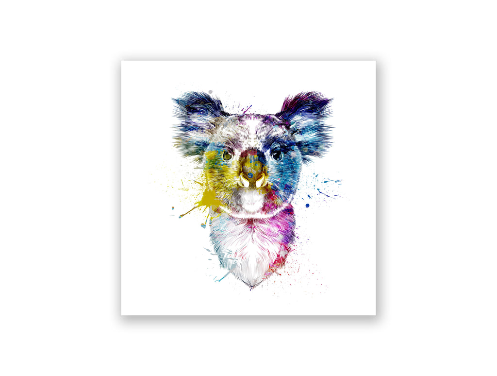 Koala